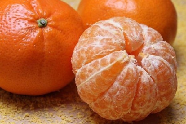 تصویر 3 از خرید و قیمت نارنگی محلی جهرم + فروش صادراتی